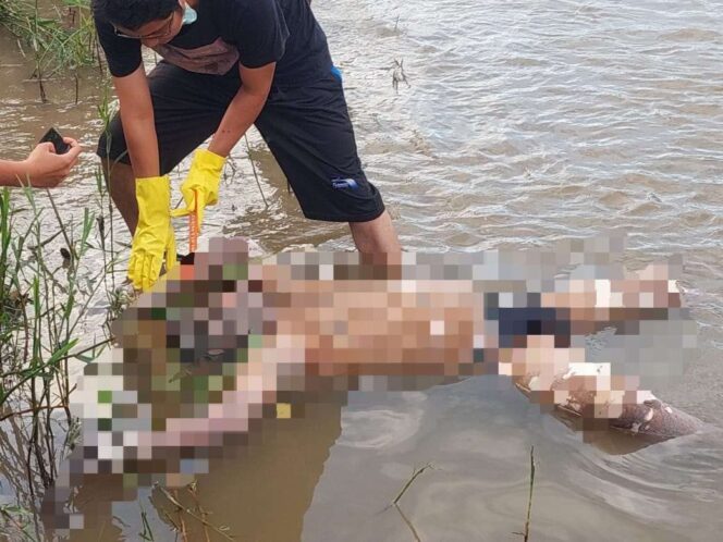Sesosok Mayat Ditemukan Terapung di Sungai Aek Sigeaon