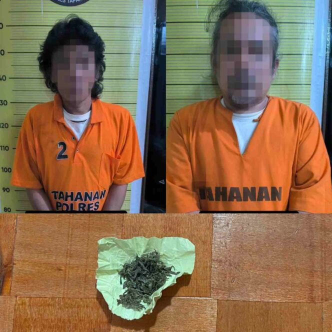 Satu Pengedar dan Dua Pengguna Narkoba Diringkus Polres Taput
