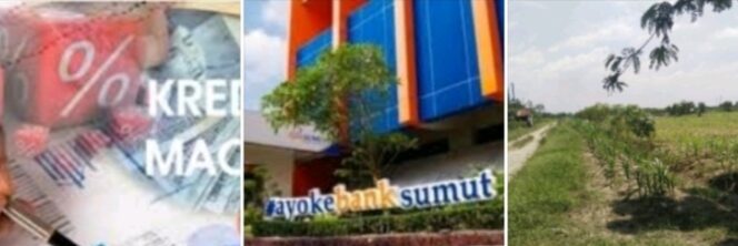 Kredit Rp.23 M Sampai 30 Tahun Diduga Macet di Pengusaha Property Kuala Namu Tapi Data Masih Dirunut Bank Sumut, LP3 :  Kalau Bayi Lahir, Sudah Bisa Punya Anak